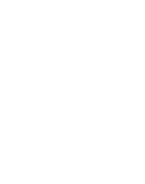 AI Readiness & Opportunity Mapping